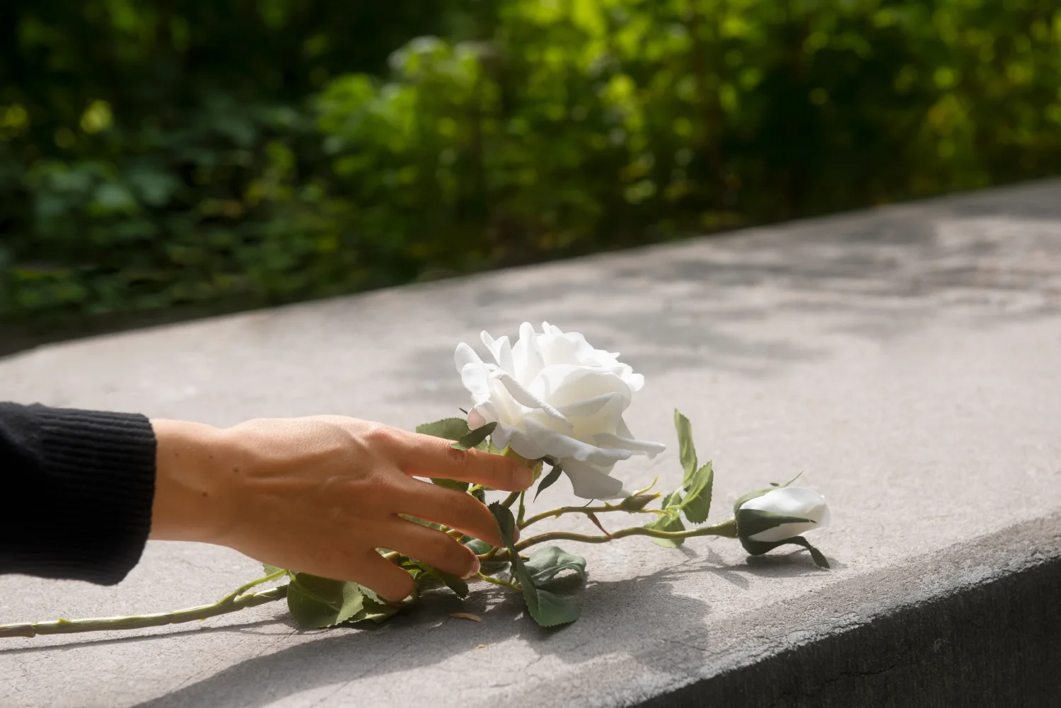 Funeral Cost